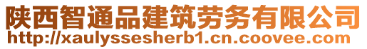 陕西智通品建筑劳务有限公司