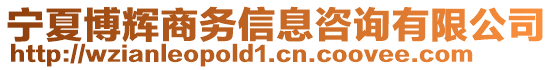 寧夏博輝商務(wù)信息咨詢有限公司