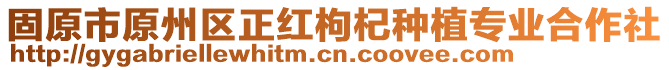 固原市原州區(qū)正紅枸杞種植專業(yè)合作社