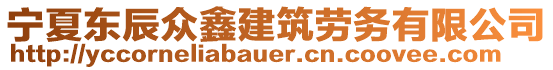 寧夏東辰眾鑫建筑勞務(wù)有限公司