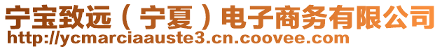 寧寶致遠(yuǎn)（寧夏）電子商務(wù)有限公司