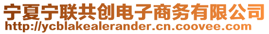 寧夏寧聯(lián)共創(chuàng)電子商務(wù)有限公司