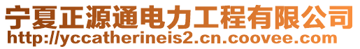 寧夏正源通電力工程有限公司