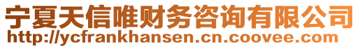 宁夏天信唯财务咨询有限公司