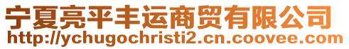 寧夏亮平豐運(yùn)商貿(mào)有限公司