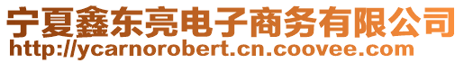 寧夏鑫東亮電子商務(wù)有限公司