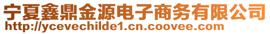 寧夏鑫鼎金源電子商務(wù)有限公司