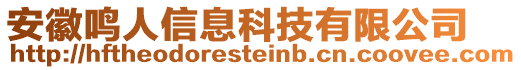 安徽鳴人信息科技有限公司