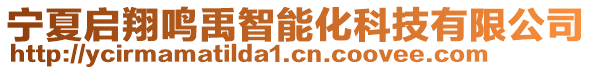 寧夏啟翔鳴禹智能化科技有限公司