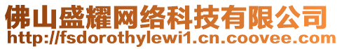 佛山盛耀網絡科技有限公司