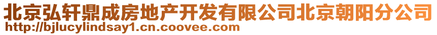 北京弘轩鼎成房地产开发有限公司北京朝阳分公司