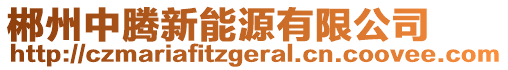 郴州中騰新能源有限公司