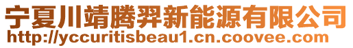 寧夏川靖騰羿新能源有限公司