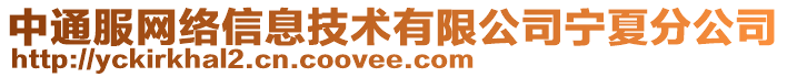 中通服網絡信息技術有限公司寧夏分公司