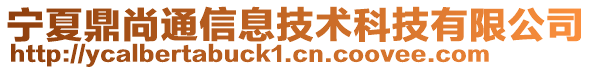 寧夏鼎尚通信息技術科技有限公司