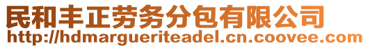 民和豐正勞務(wù)分包有限公司