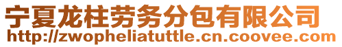 寧夏龍柱勞務分包有限公司