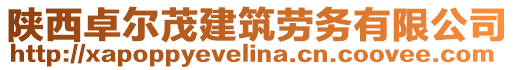 陜西卓爾茂建筑勞務(wù)有限公司