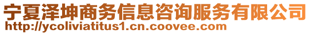 寧夏澤坤商務信息咨詢服務有限公司