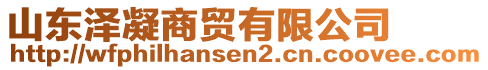 山东泽凝商贸有限公司