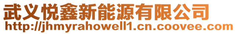 武義悅鑫新能源有限公司