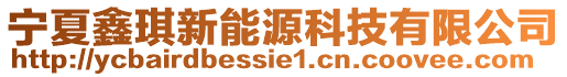 寧夏鑫琪新能源科技有限公司