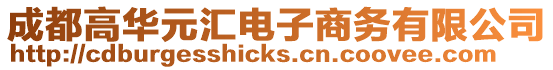 成都高華元匯電子商務有限公司