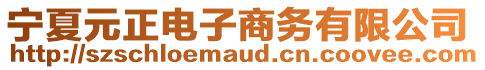 宁夏元正电子商务有限公司