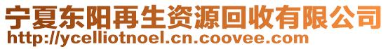 寧夏東陽再生資源回收有限公司