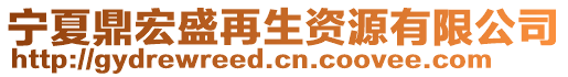 寧夏鼎宏盛再生資源有限公司