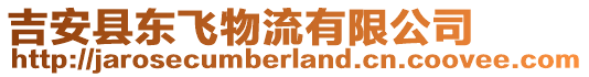 吉安縣東飛物流有限公司