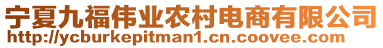 寧夏九福偉業(yè)農(nóng)村電商有限公司