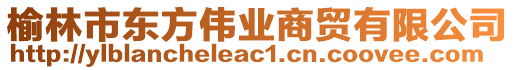 榆林市東方偉業(yè)商貿(mào)有限公司