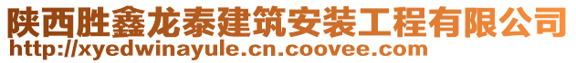 陕西胜鑫龙泰建筑安装工程有限公司