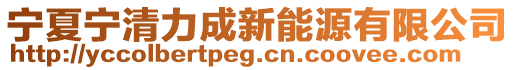 寧夏寧清力成新能源有限公司