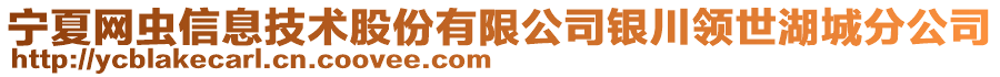 宁夏网虫信息技术股份有限公司银川领世湖城分公司