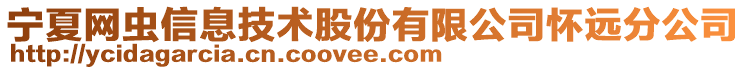 宁夏网虫信息技术股份有限公司怀远分公司