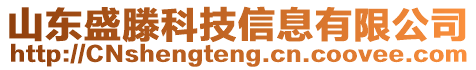 山東盛滕科技信息有限公司