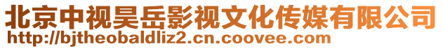 北京中視昊岳影視文化傳媒有限公司