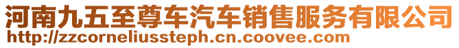 河南九五至尊車汽車銷售服務有限公司