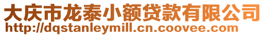 大慶市龍?zhí)┬☆~貸款有限公司