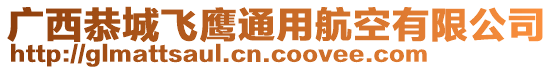 广西恭城飞鹰通用航空有限公司