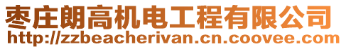 棗莊朗高機電工程有限公司
