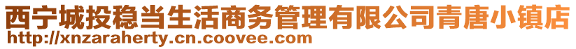 西寧城投穩(wěn)當(dāng)生活商務(wù)管理有限公司青唐小鎮(zhèn)店