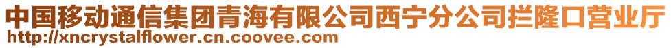 中國(guó)移動(dòng)通信集團(tuán)青海有限公司西寧分公司攔隆口營(yíng)業(yè)廳