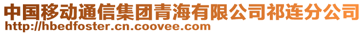 中國移動通信集團青海有限公司祁連分公司