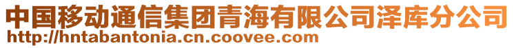 中國(guó)移動(dòng)通信集團(tuán)青海有限公司澤庫(kù)分公司