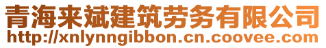 青海來(lái)斌建筑勞務(wù)有限公司