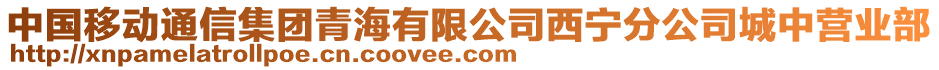 中國(guó)移動(dòng)通信集團(tuán)青海有限公司西寧分公司城中營(yíng)業(yè)部