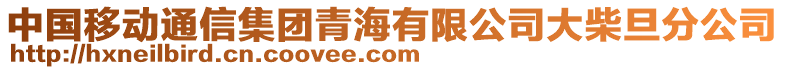 中國移動通信集團(tuán)青海有限公司大柴旦分公司